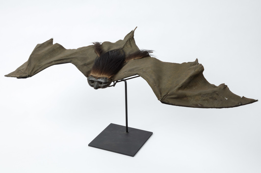 10. Prop Bat, Dracula (1931, Universal). Courtesy of the Natural History Museum of Los Angeles County