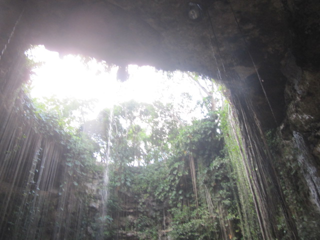 #Viajes #Yucatán Un Lugar Mágico llamado Cenote